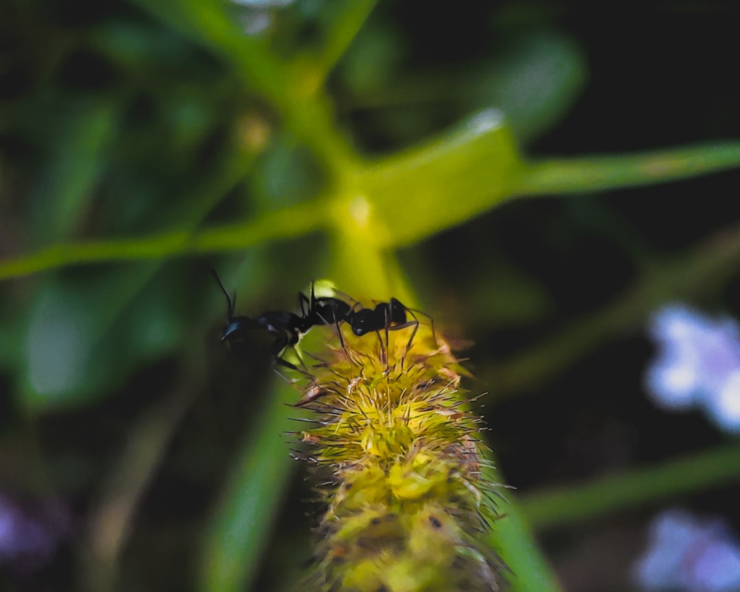 Evolutionary Arms Race: Adaptation and Counter-Adaptation (image credits: unsplash)