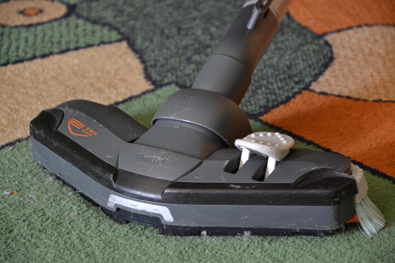 Safe Removal Techniques (image credits: pixabay)