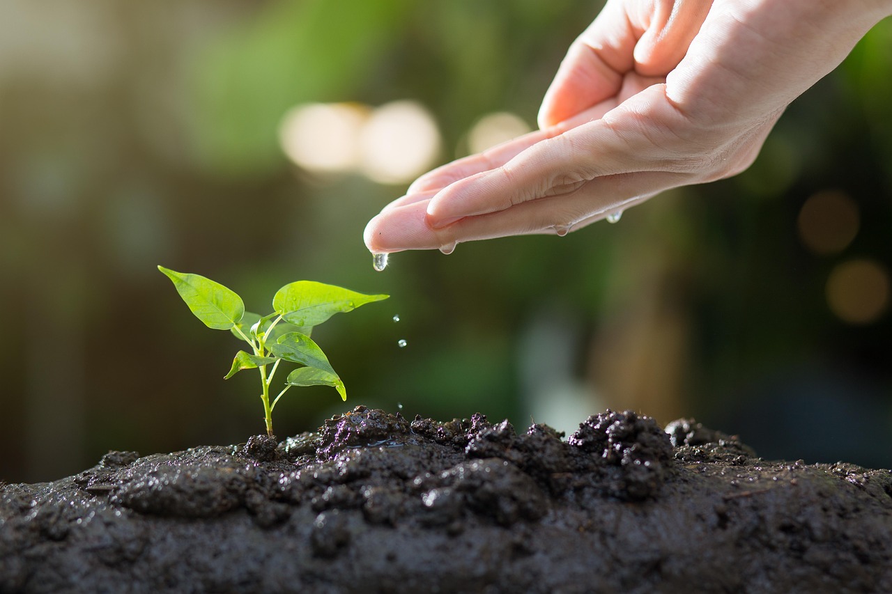 Conclusion: Embracing the Hidden Complexity (image credits: pixabay)