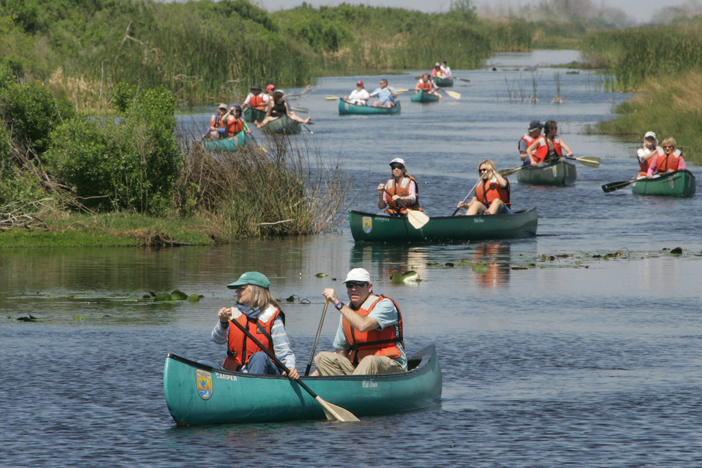 Conservation and Protection Efforts (image credits: flickr)