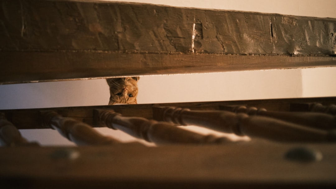 Why Baseboards Make Perfect Bed Bug Hideouts (image credits: unsplash)