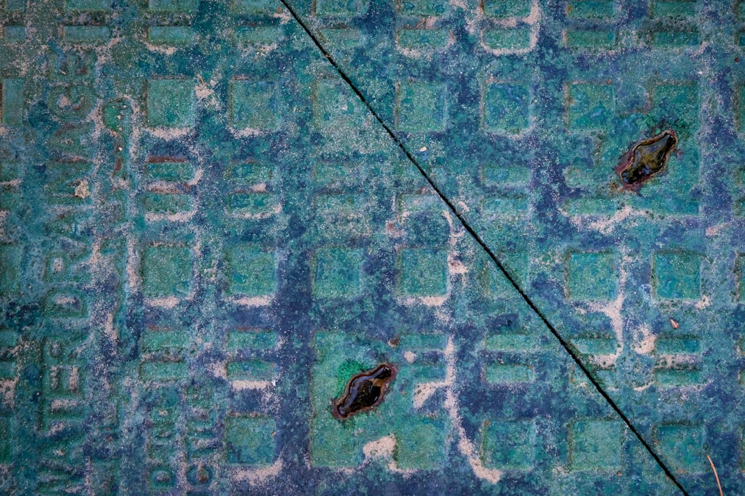 Fabric Types That Attract Different Species (image credits: unsplash)