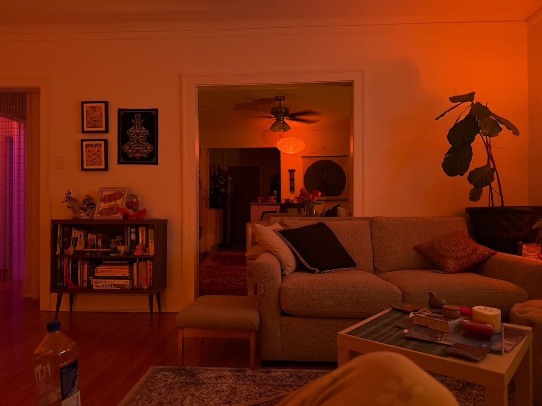 How Lighting Affects Insect Behavior Around Your Sofa (image credits: unsplash)