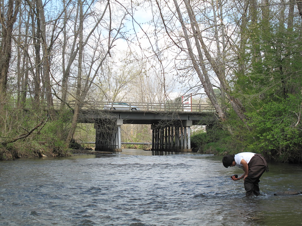 Environmental Indicators (image credits: flickr)