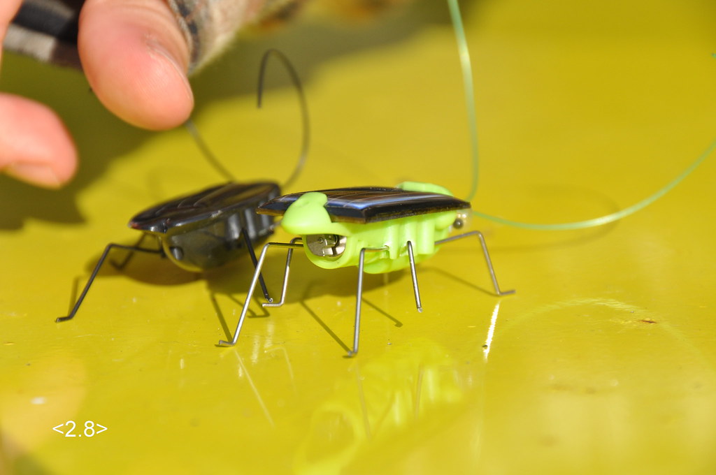 Technology Meets Biology: Modern Solutions (image credits: flickr)
