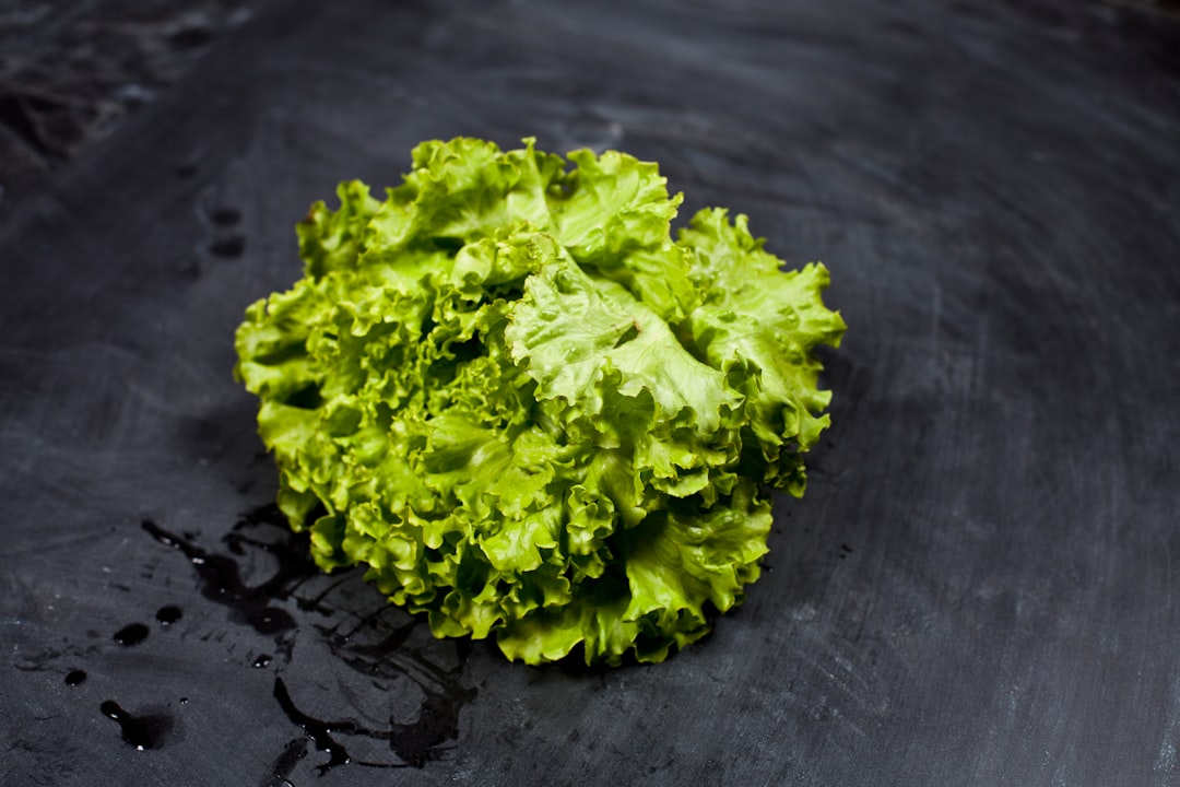 The Invisible Ecosystem Living in Your Salad Bowl (image credits: unsplash)