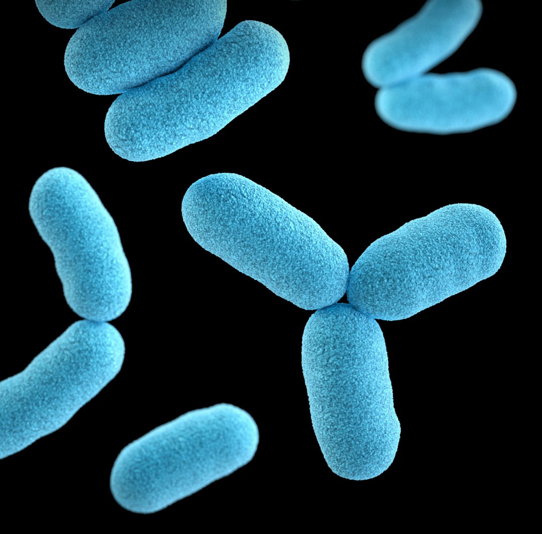 Bacteria: The Invisible Majority (image credits: unsplash)