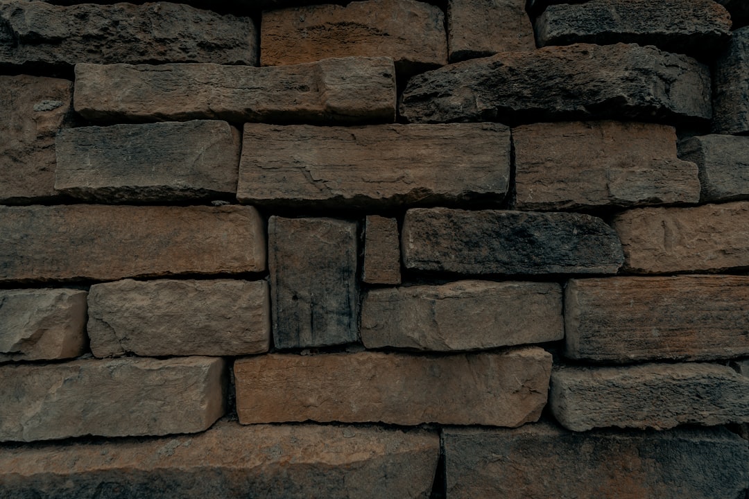 Building Materials and Surface Preferences (image credits: unsplash)