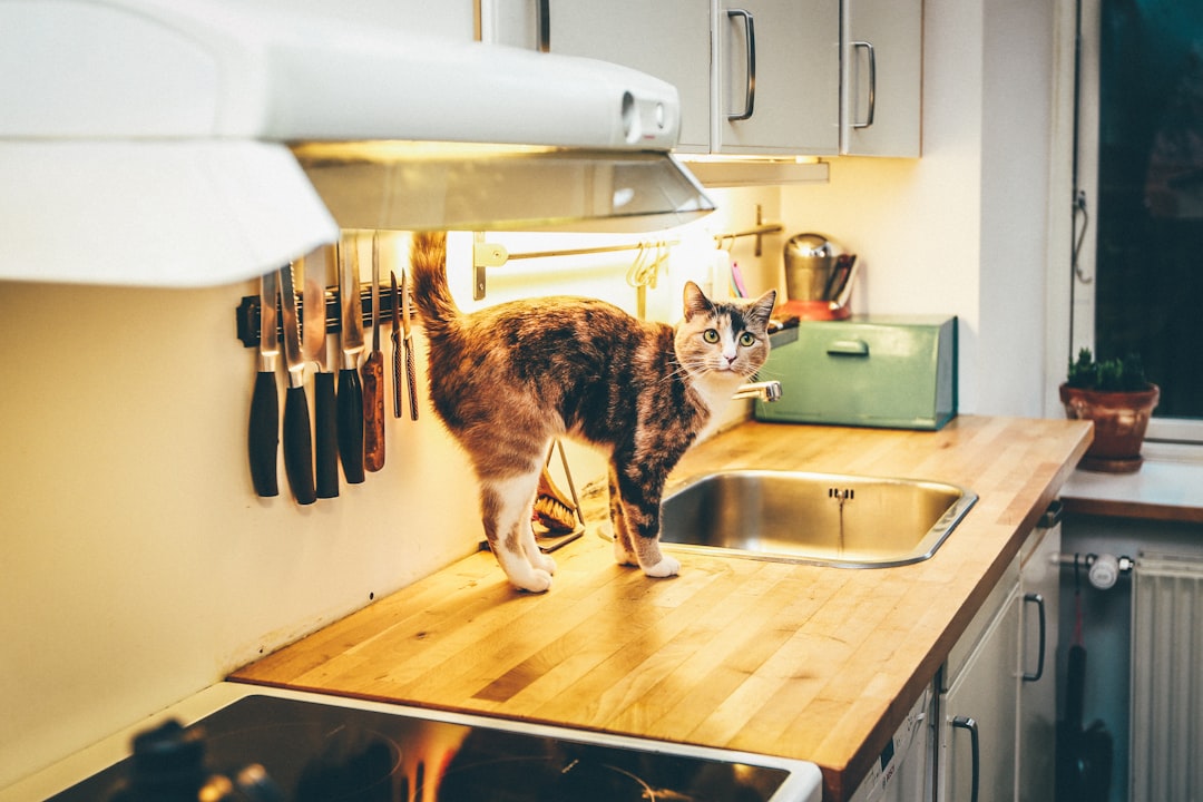 The Amplification Effect of Food Waste and Organic Debris (image credits: unsplash)