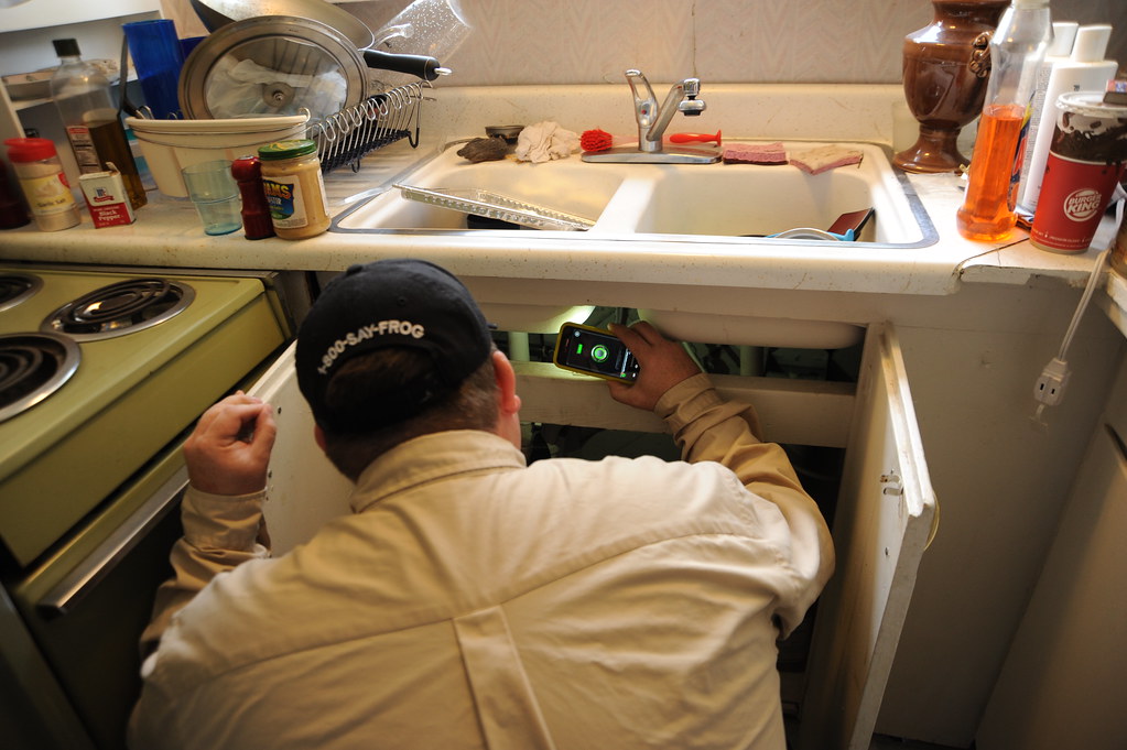 Prevention Strategies: Breaking the Breeding Cycle (image credits: flickr)