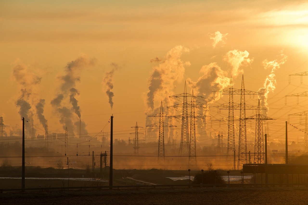 The Role of Environmental Change (image credits: pixabay)