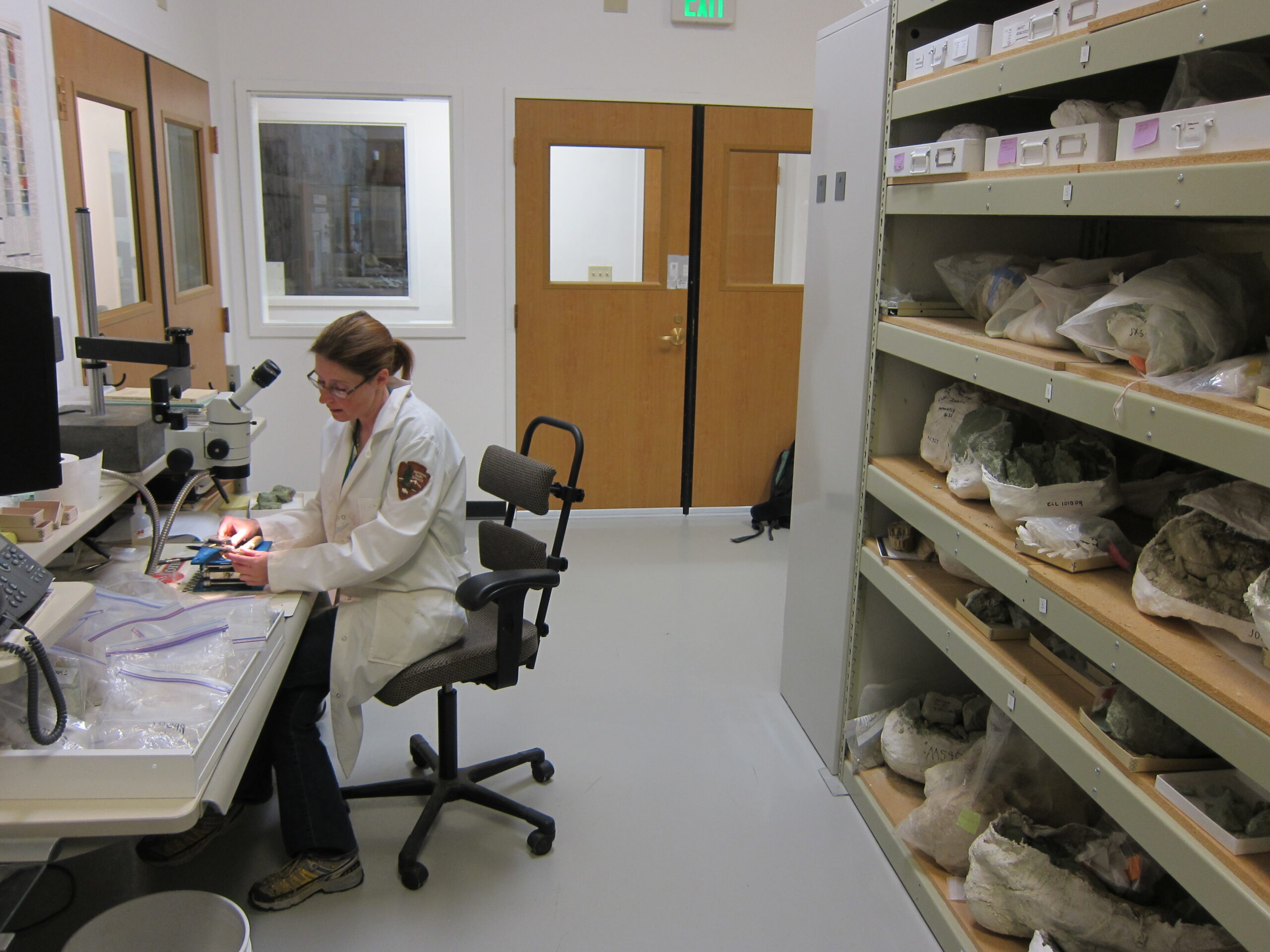 The Future of Prehistoric Ant Research (image credits: NPGallery, Public domain, https://commons.wikimedia.org/w/index.php?curid=148244213)