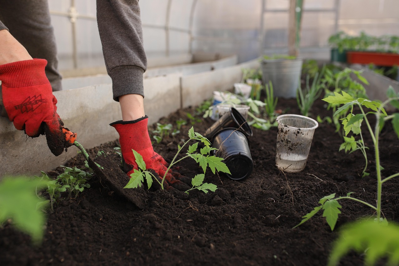 Creating Beneficial Insect Habitats (image credits: pixabay)