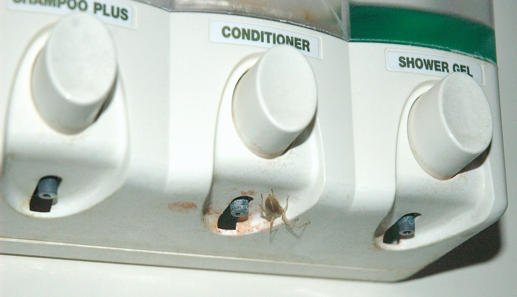 Dark Corners and Perfect Hiding Spots (image credits: flickr)