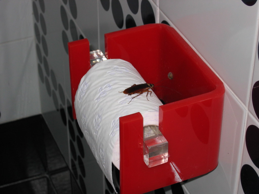 Cockroaches: The Ultimate Bathroom Opportunists (image credits: flickr)