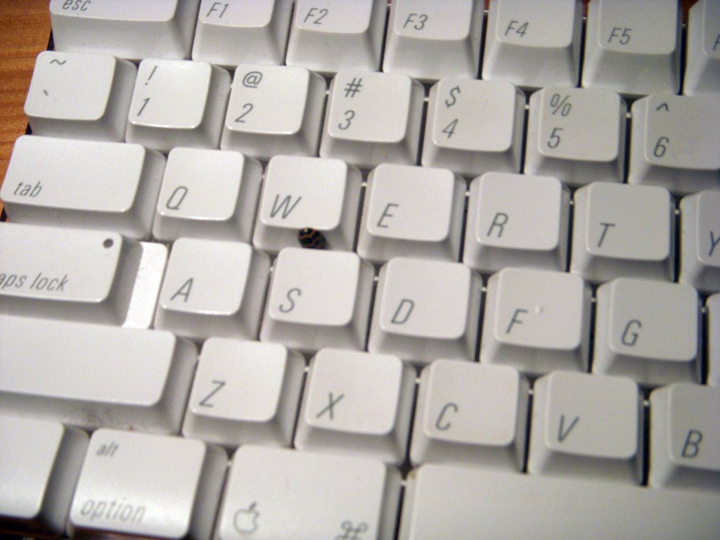 Why Miniature Insects Are Attracted to Electronic Warmth (image credits: flickr)