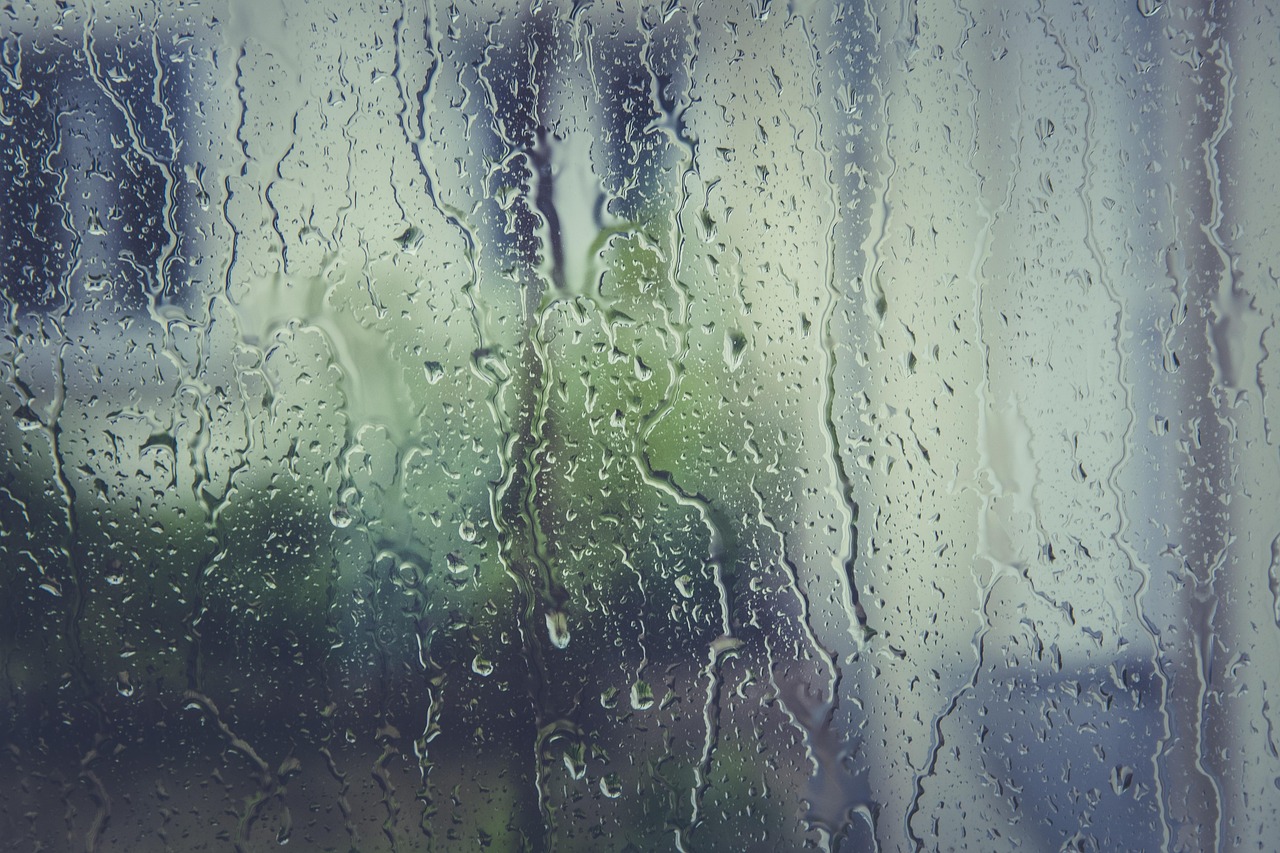 The Role of Moisture in Fly Reproduction (image credits: pixabay)