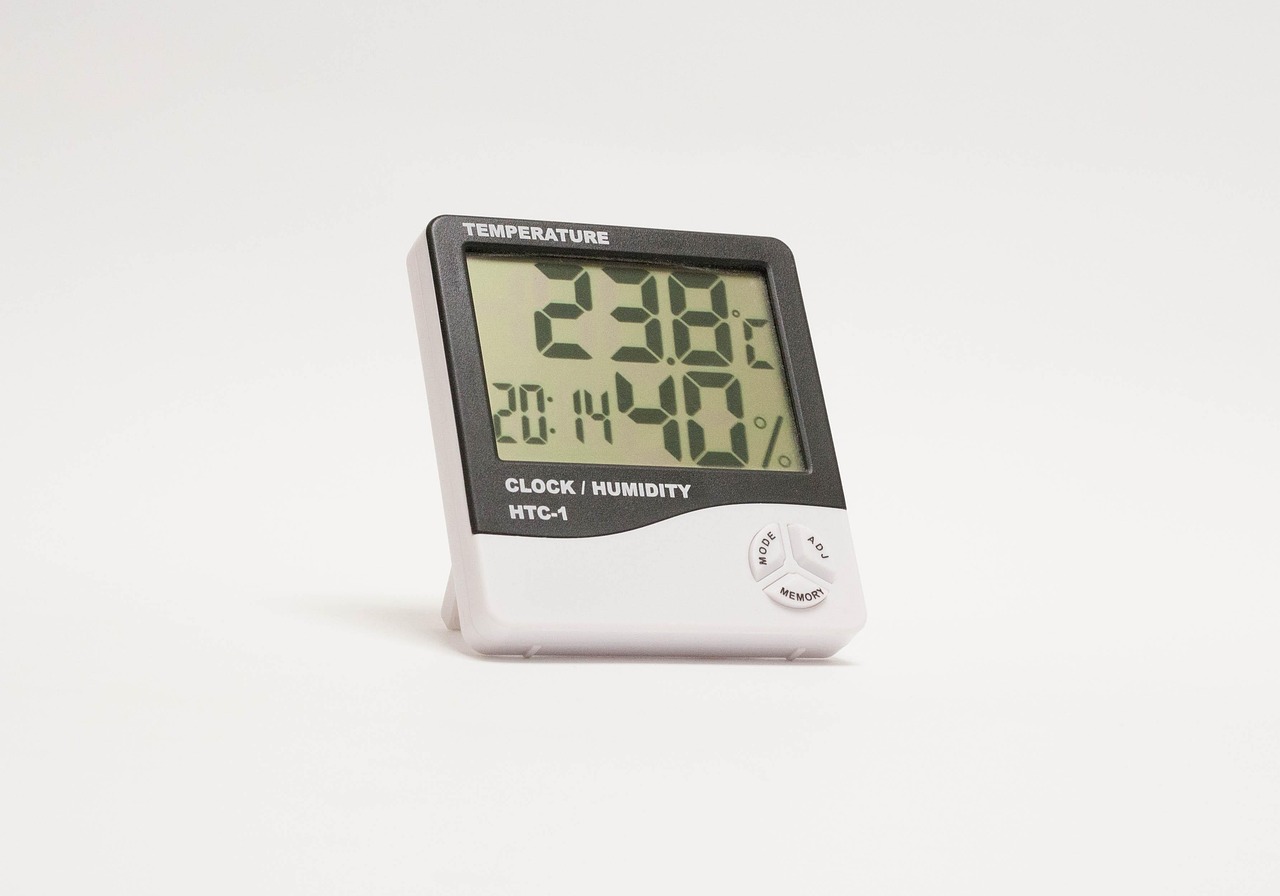 Temperature and Humidity: The Perfect Storm (image credits: pixabay)