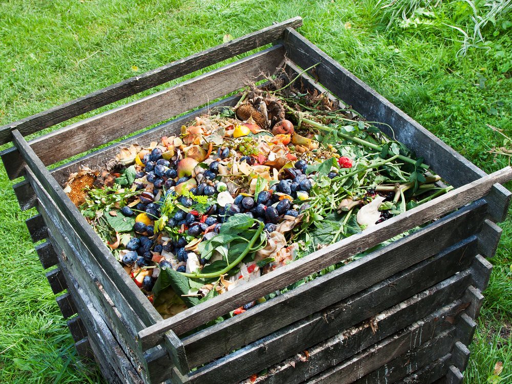 Organic Matter: The Fuel That Feeds the Problem (image credits: flickr)
