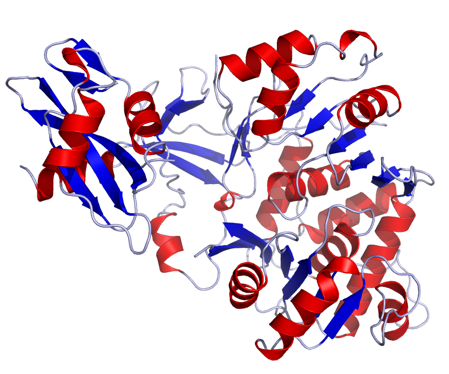 The Hidden Protein Boost (image credits: wikimedia)