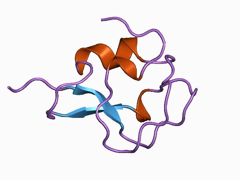 Antifreeze Proteins: Nature's Coolant System (image credits: wikimedia)