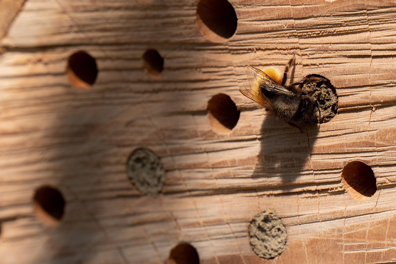 The Invisible Entry Points Around Your Home (image credits: pixabay)