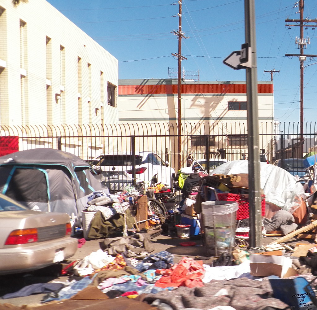 The Clutter That Creates Bug Highways (image credits: flickr)