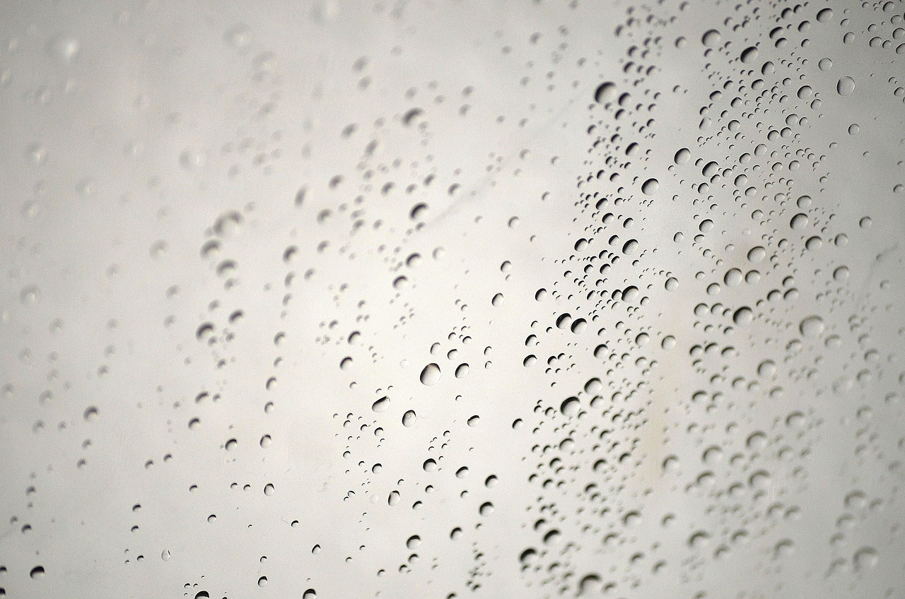 The Bathroom Humidity Haven (image credits: pixabay)