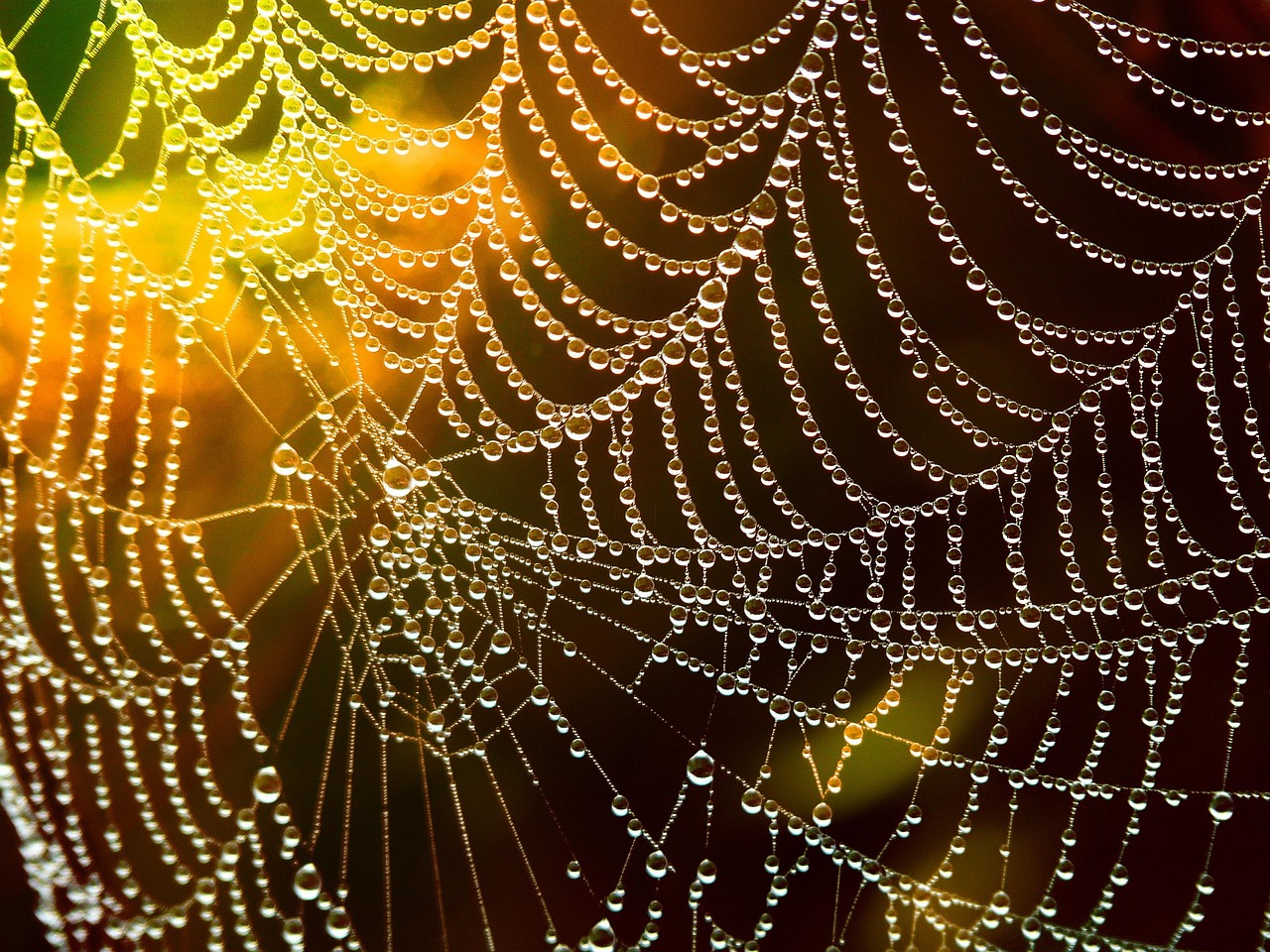 The Energy Economics of Web Decoration (image credits: pixabay)