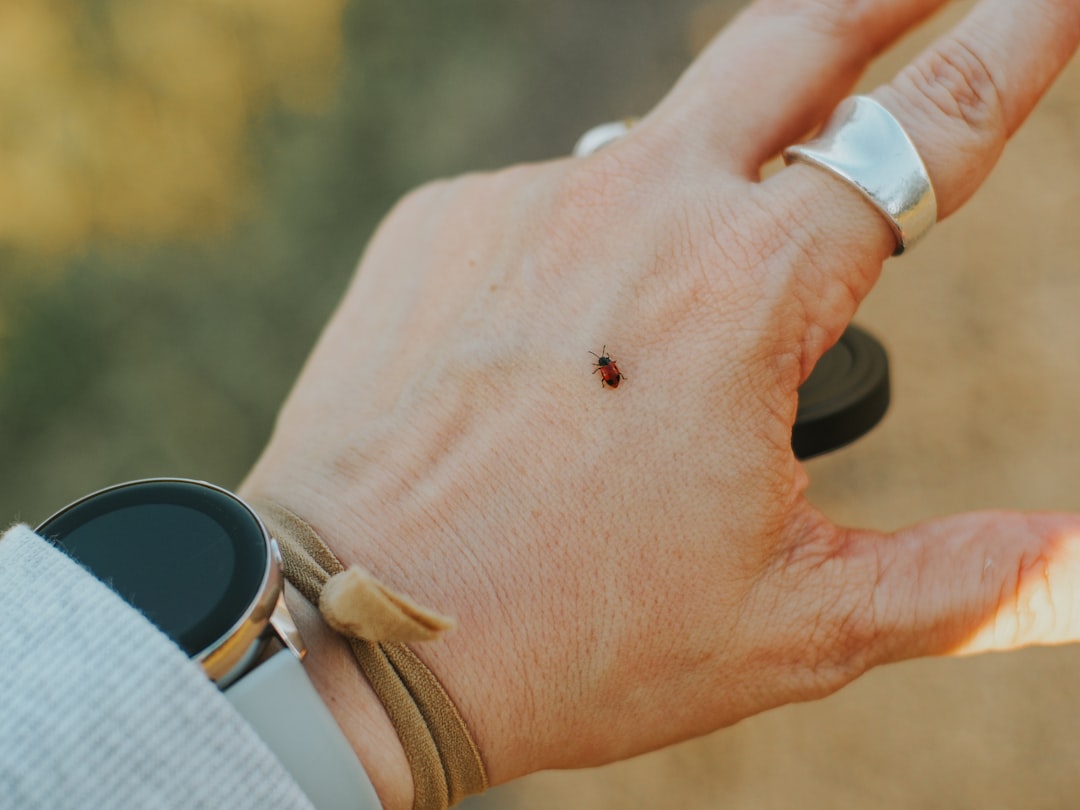 Unexplained Bites and Skin Irritation (image credits: unsplash)