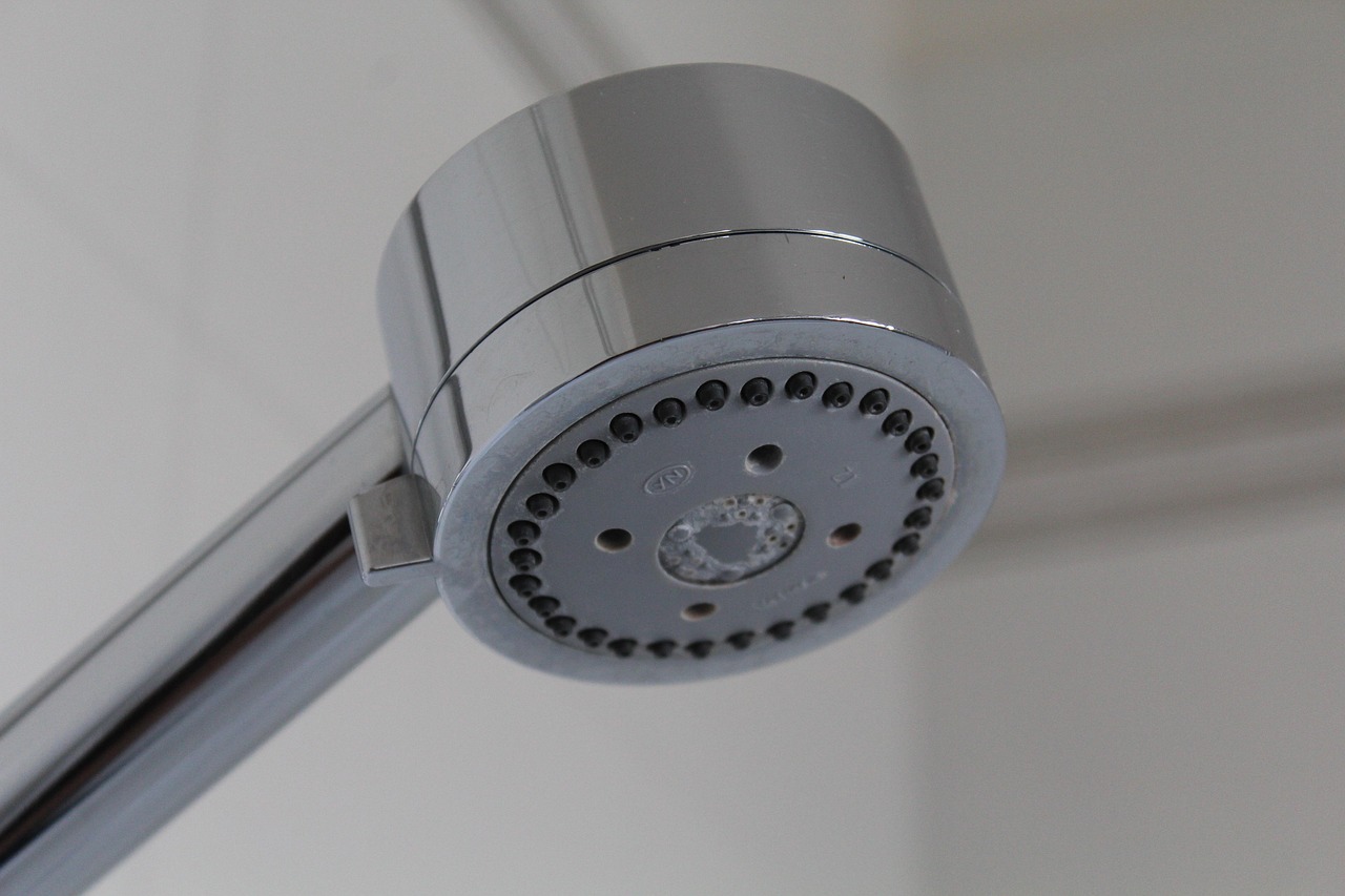 Your Shower Curtain's Secret Inhabitants: What Lives in the Folds