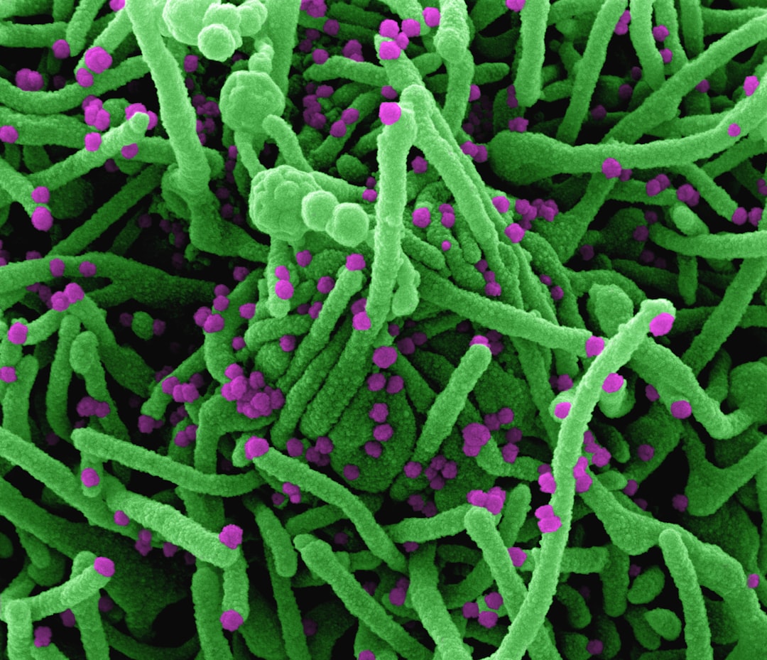 When Antibiotics Fail: The Growing Superbug Crisis (image credits: unsplash)