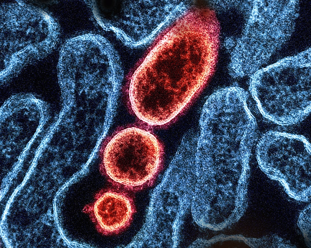 Melittin: The Molecular Warrior Against Bacterial Invaders (image credits: unsplash)