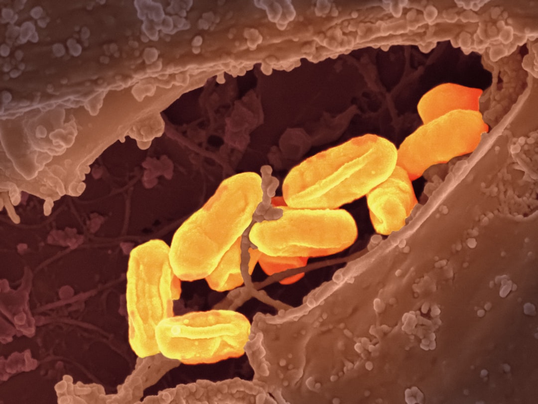 Beyond Bacteria: Antiviral and Antifungal Properties (image credits: unsplash)