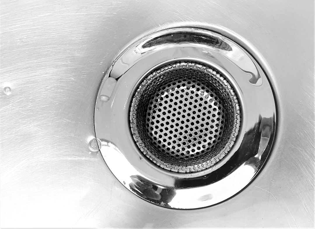 The Science Behind Effective Drain Fly Elimination (image credits: unsplash)