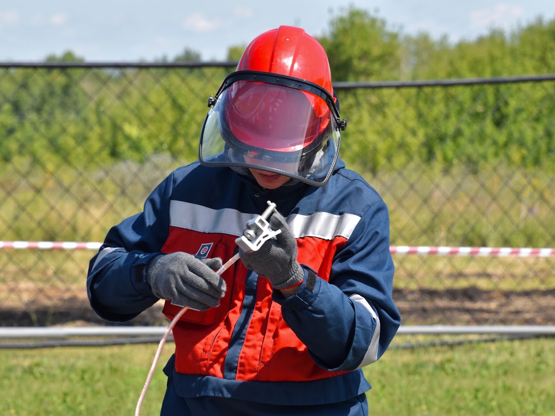 When to Call Professional Pest Control Services (image credits: unsplash)