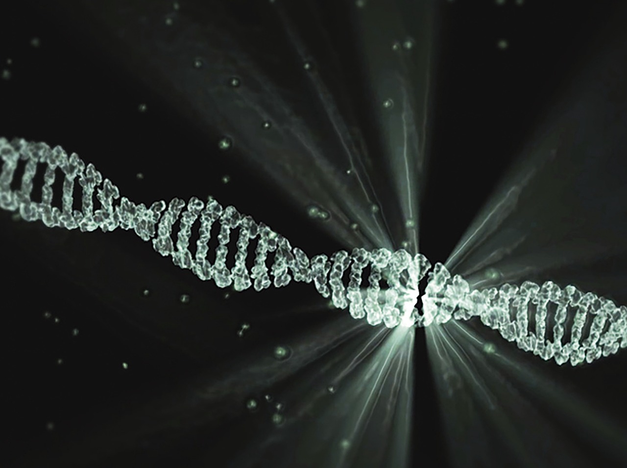 DNA Evidence: The Molecular Clock (image credits: pixabay)
