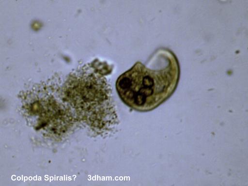 Water under a microscope